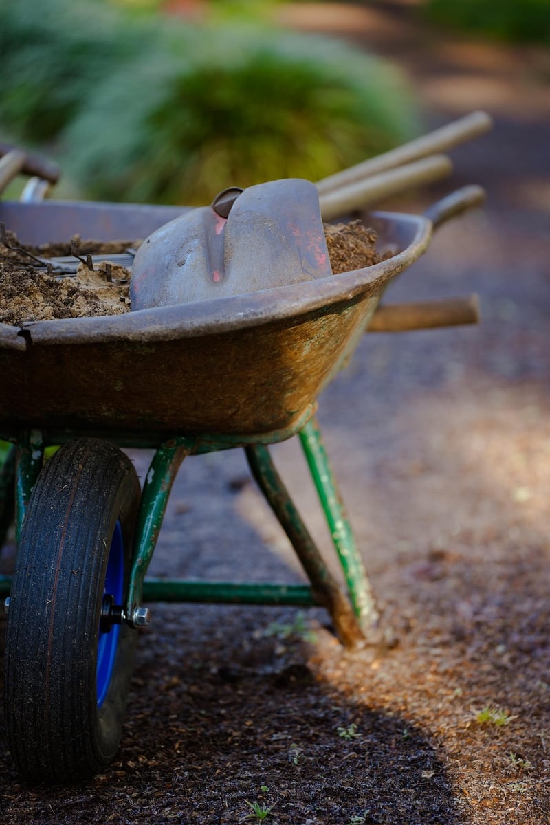 Spring garden preparation